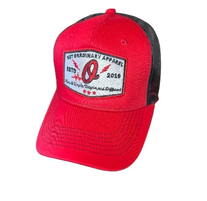Est. 2019 Trucker